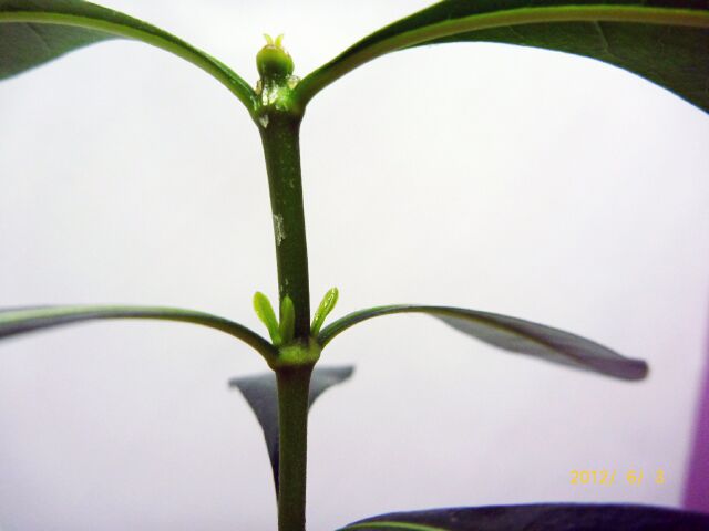 2012-6-3-5.jpg