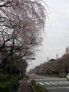 画像 1997