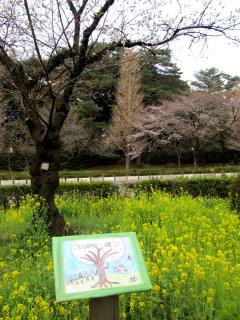 画像 2000