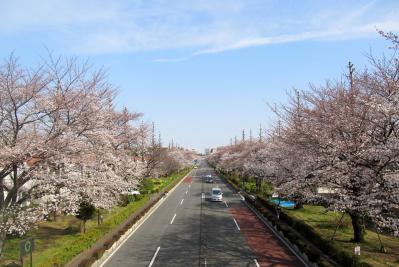 画像 2003