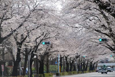 画像 2007
