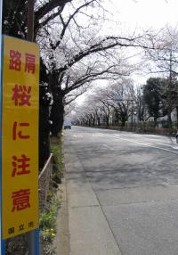 画像 2010
