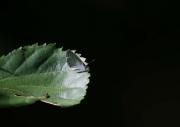 TIC_BLG0284.jpg
