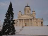 TIC_BLG0511.jpg
