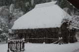 TIC_BLG0544.jpg