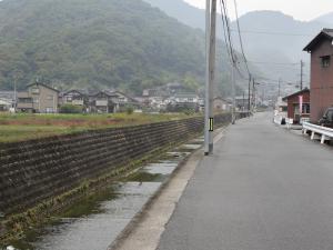 DSC00181.jpg