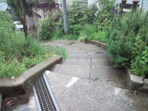 DSC_0012_20120610003353.jpg