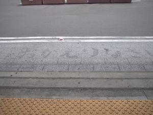 DSC_0031_20120606010657.jpg