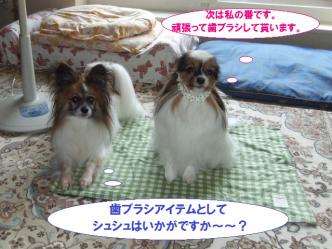 08-10_20120810075457.jpg
