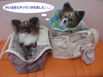 10-05_201402121018485dd.jpg