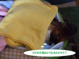 16-03_20121126133457.jpg