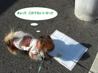24-03_20140201114242bbd.jpg