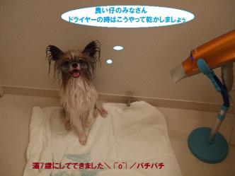 30-07_20121003110613.jpg