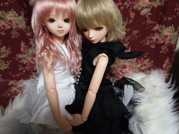 j001.jpg