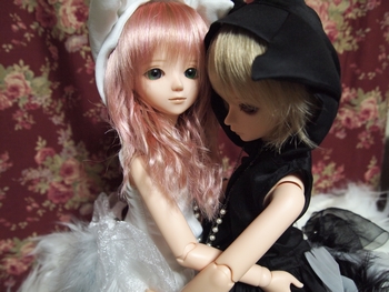 j004.jpg