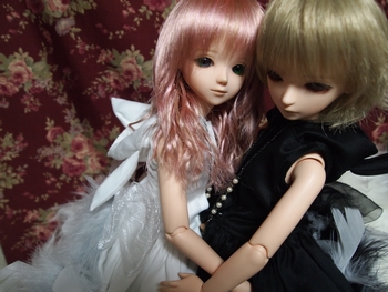 j005.jpg