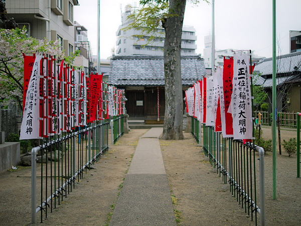 P1040397.jpg