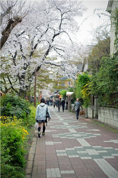 R0018753.jpg