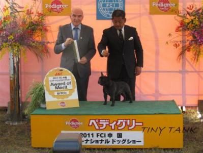 20111016225934dfes_20121124094930.jpg
