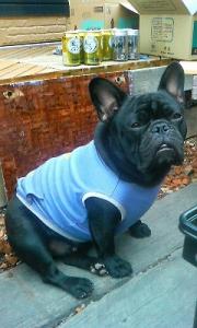 201206231636001.jpg