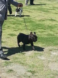 20120825_100351.jpg
