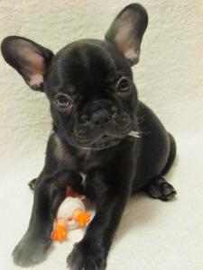 IMG_0577 (480x640)