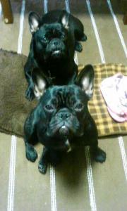 201209290727000.jpg