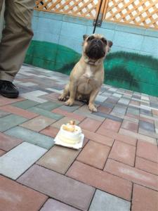 お誕生ケーキを前に緊張してます