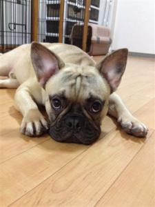 眠いよ~