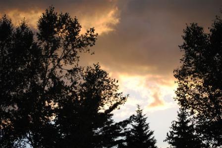 2012101911.jpg