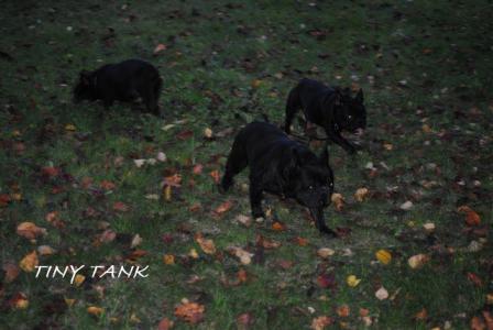 2012101913.jpg