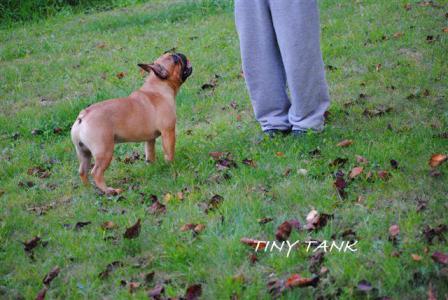 201210194.jpg
