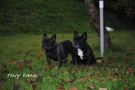 201210196.jpg