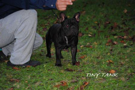 201210197.jpg