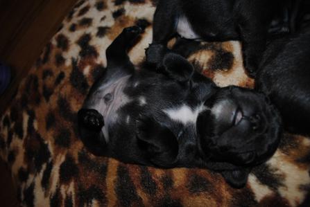 2012102914.jpg