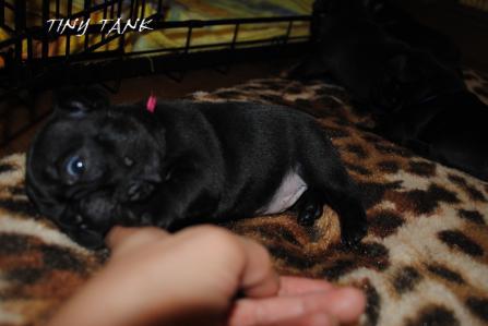201210316.jpg