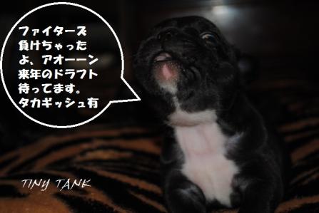 201211039.jpg
