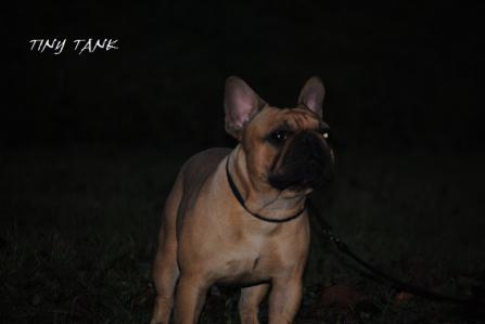 2012110510.jpg