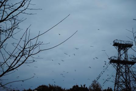 2012110511.jpg