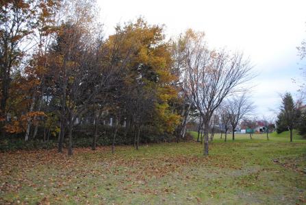 201211052.jpg