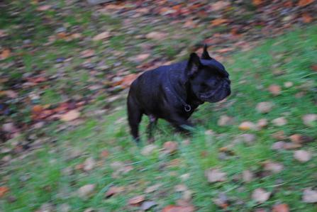 201211053.jpg