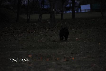 201211055.jpg
