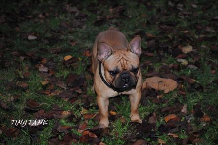 201211056.jpg