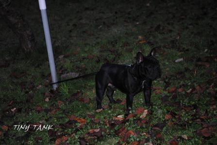 201211057.jpg