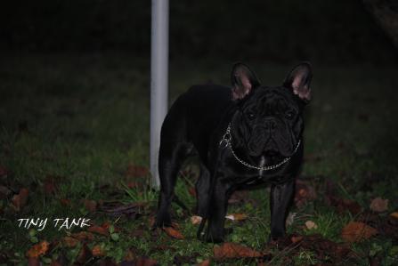 201211059.jpg