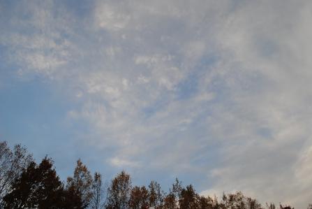 20121105.jpg