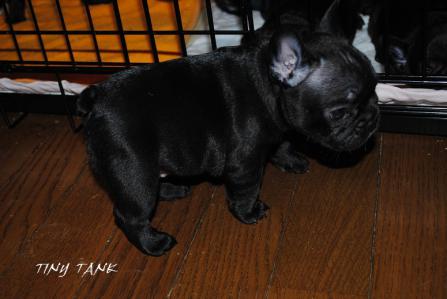 201211129.jpg
