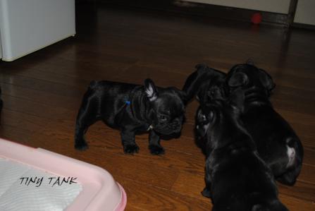 201211142.jpg