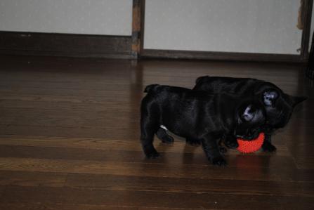 201211144.jpg