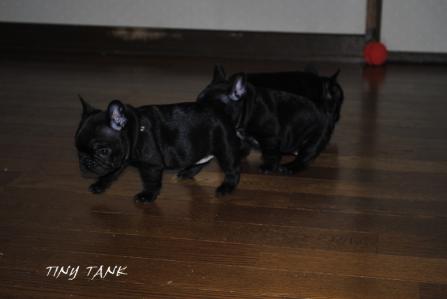 201211145.jpg